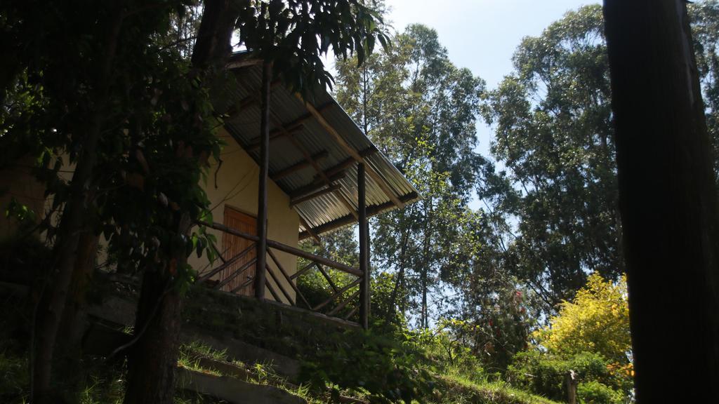 Amasiko Homestay Lake Bunyonyi Kabale ภายนอก รูปภาพ