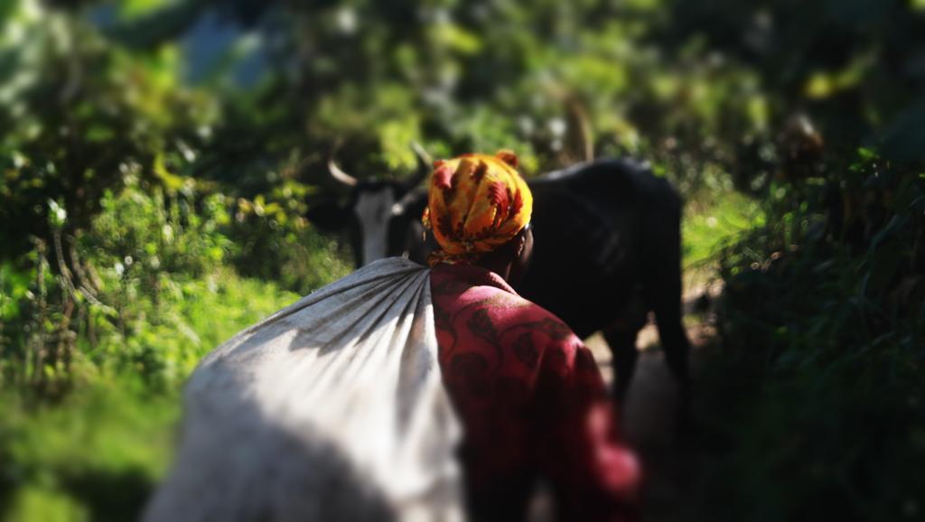 Amasiko Homestay Lake Bunyonyi Kabale ภายนอก รูปภาพ