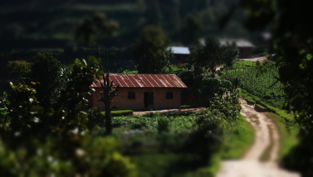 Amasiko Homestay Lake Bunyonyi Kabale ภายนอก รูปภาพ
